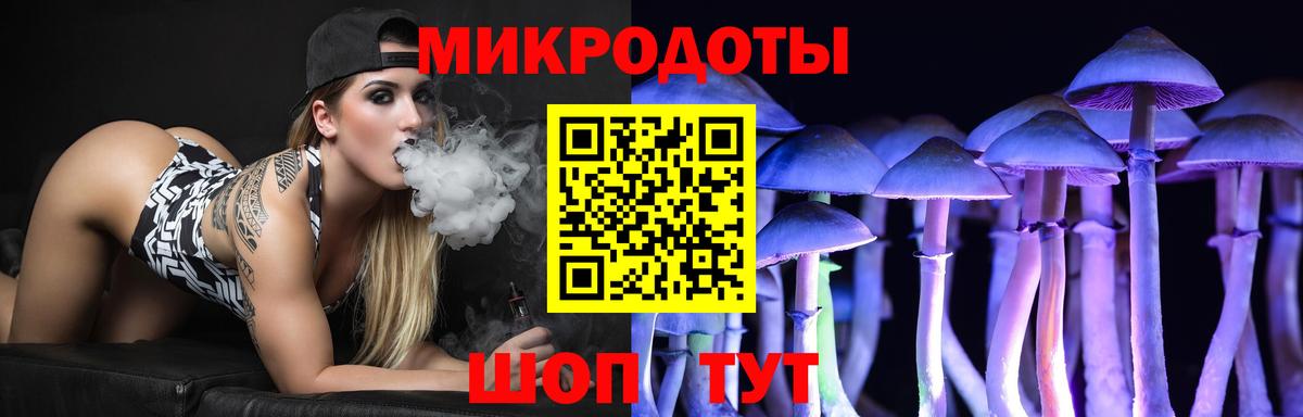 Псилоцибиновые грибы Cubensis  Вход с VPN  Кинель 